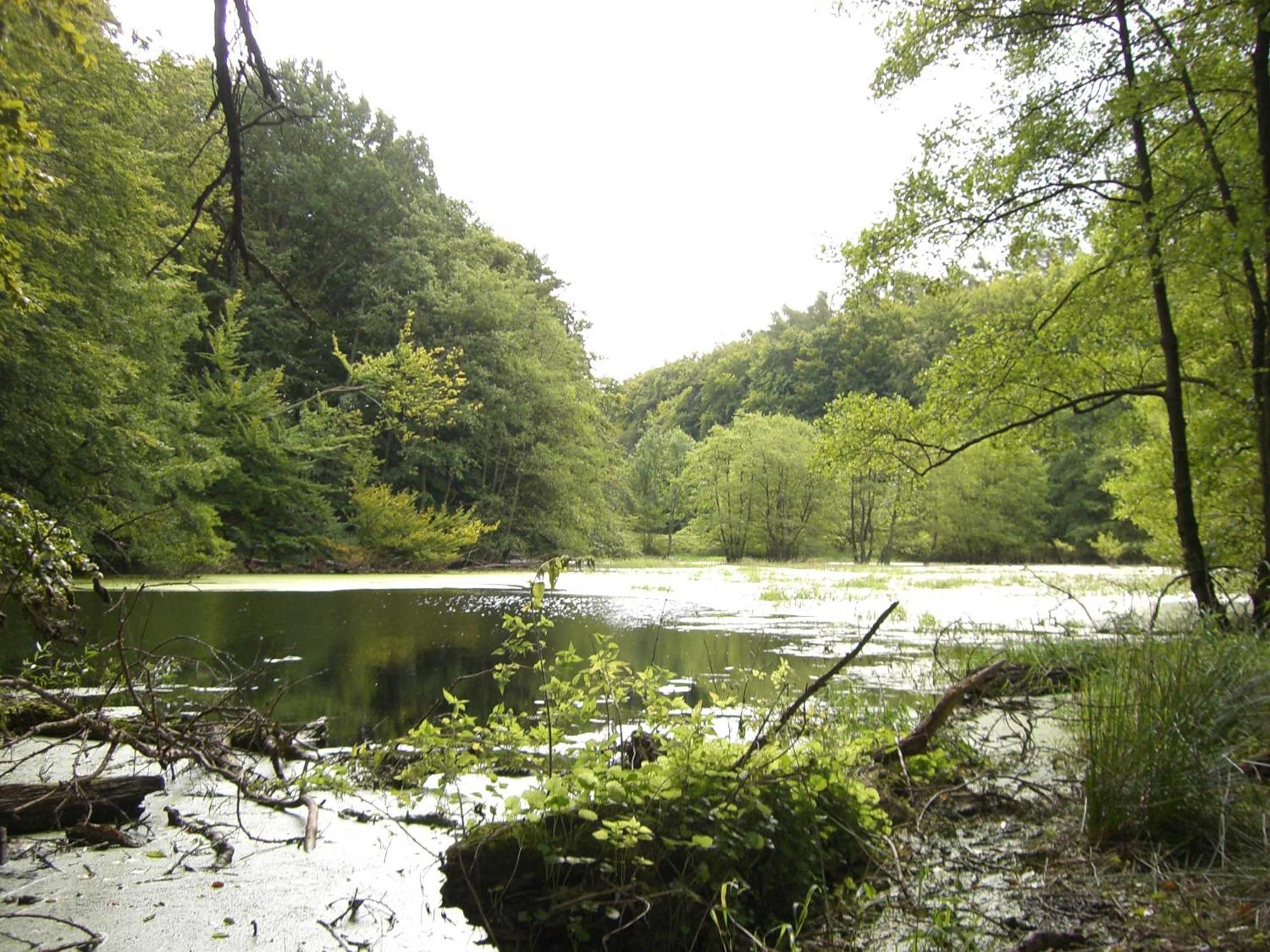 Appartementhaus Sonnenbad App 04 Sassnitz Eksteriør bilde